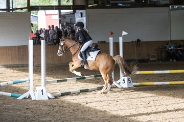 Bild 151 - Pony Akademie Turnier
